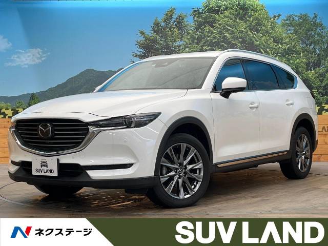 マツダ ＣＸ－８ ＸＤ Ｌパッケージ 4万Km (鹿児島県)[733]の中古車詳細