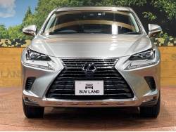 ＮＸ ＮＸ３００ｈ Ｉパッケージの中古車画像