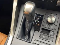 ＮＸ ＮＸ３００ バージョンＬの中古車画像