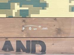 ＮＸ ＮＸ２５０の中古車画像