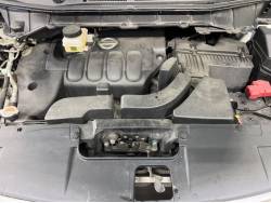 エルグランド ライダー 白本革シートの中古車画像