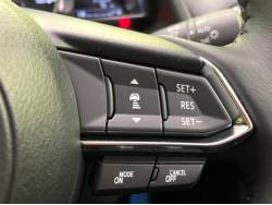 ＭＡＺＤＡ２ １５スポルトの中古車画像