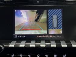 ５０８ ＳＷ ＧＴ ブルーＨＤｉ プレミアムレザーエディションの中古車画像