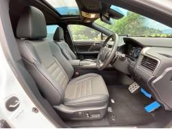 ＲＸ ＲＸ３００ Ｆスポーツの中古車画像