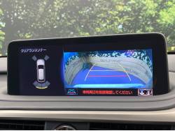 ＲＸ ＲＸ３００ Ｆスポーツの中古車画像