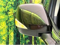 エルグランド ライダーの中古車画像