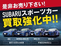 フォレスター Ｘ２０ Ｌ．Ｌ．Ｂｅａｎエディションの中古車画像