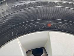 ヴィッツ Ｆ Ｍパッケージの中古車画像