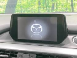 アテンザワゴン ＸＤ プロアクティブの中古車画像