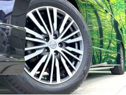 エルグランド ＶＩＰの中古車画像