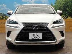 ＮＸ ＮＸ３００ｈの中古車画像