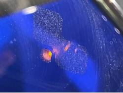 Ｅペイス Ｒ‐ダイナミック ＳＥ ２５０ＰＳの中古車画像