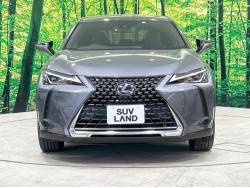 ＵＸ ＵＸ２５０ｈの中古車画像