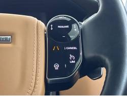 レンジローバー フィフティの中古車画像