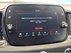 アバルト６９５ トリビュート １３１ラリーの中古車画像