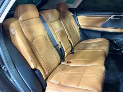 ＲＸ ＲＸ３００ バージョンＬの中古車画像