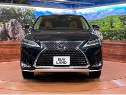 ＲＸ ＲＸ３００ バージョンＬの中古車画像