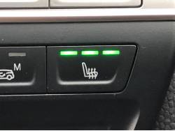 ｉ３ アトリエ レンジ・エクステンダー装備車の中古車画像