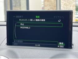 Ｓ３ スポーツバックの中古車画像
