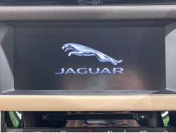 ＸＦ ＸＦ プレステージの中古車画像