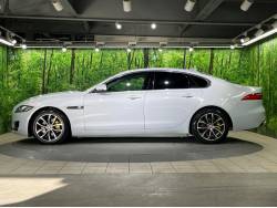 ＸＦ ＸＦ プレステージの中古車画像