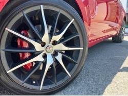 ミト クアドリフォリオ ヴェルデ リミテッドエディションの中古車画像