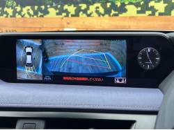 ＵＸ ＵＸ２５０ｈ 特別仕様車 アーバンエレガンスの中古車画像