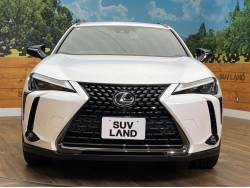 ＵＸ ＵＸ２５０ｈ 特別仕様車 アーバンエレガンスの中古車画像