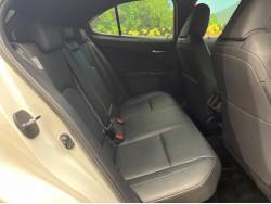 ＵＸ ＵＸ２５０ｈ 特別仕様車 アーバンエレガンスの中古車画像