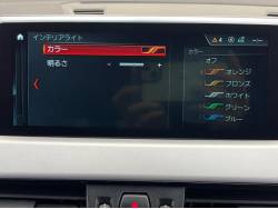 Ｘ２ ｘＤｒｉｖｅ １８ｄ ＭスポーツＸの中古車画像