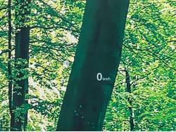 ＣＸ－５ ＸＤの中古車画像