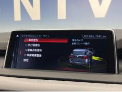 Ｘ５ リミテッドホワイトの中古車画像