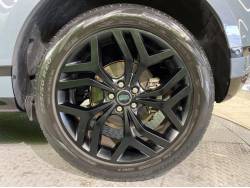 レンジローバーイヴォーク ファーストエディションの中古車画像