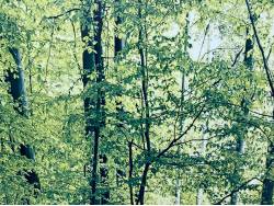 アウトランダーＰＨＥＶ Ｇの中古車画像