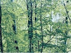 アウトランダーＰＨＥＶ Ｇの中古車画像