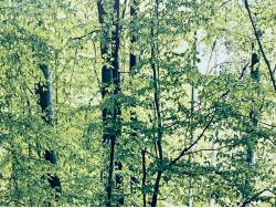 アウトランダーＰＨＥＶ Ｇの中古車画像