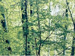 アウトランダーＰＨＥＶ Ｇの中古車画像