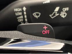 ザ・ビートル レーサーの中古車画像