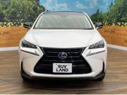 ＮＸ ＮＸ３００ｈ 特別仕様車 アーバンスタイルの中古車画像