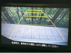 エリシオン ＶＺの中古車画像