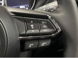 ＣＸ－８ ２５Ｓ ブラックトーンエディションの中古車画像