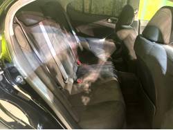 ＩＳ ＩＳ２５０ バージョンＳの中古車画像