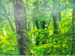 ノート １５Ｓの中古車画像