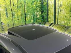 ＲＸ ＲＸ４５０ｈ バージョンＬの中古車画像