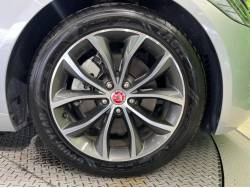 ＸＦ ＸＦ プレステージの中古車画像