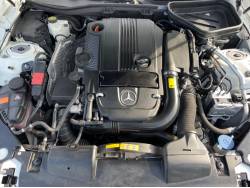 ＳＬＫ ＳＬＫ２００カーボンルックエディションの中古車画像