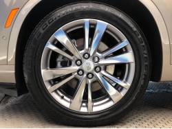 キャデラックＸＴ６ ラテエディションの中古車画像