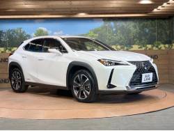 ＵＸ ＵＸ２５０ｈ バージョンＬの中古車画像