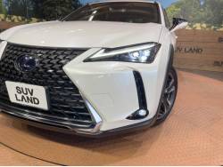ＵＸ ＵＸ２５０ｈ バージョンＬの中古車画像