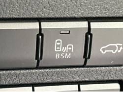 ＮＸ ＮＸ３００ Ｆスポーツの中古車画像